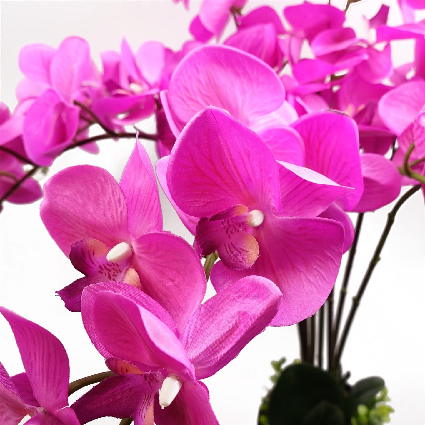 Close-up of vibrant pink orchid petals and lifelike veining.