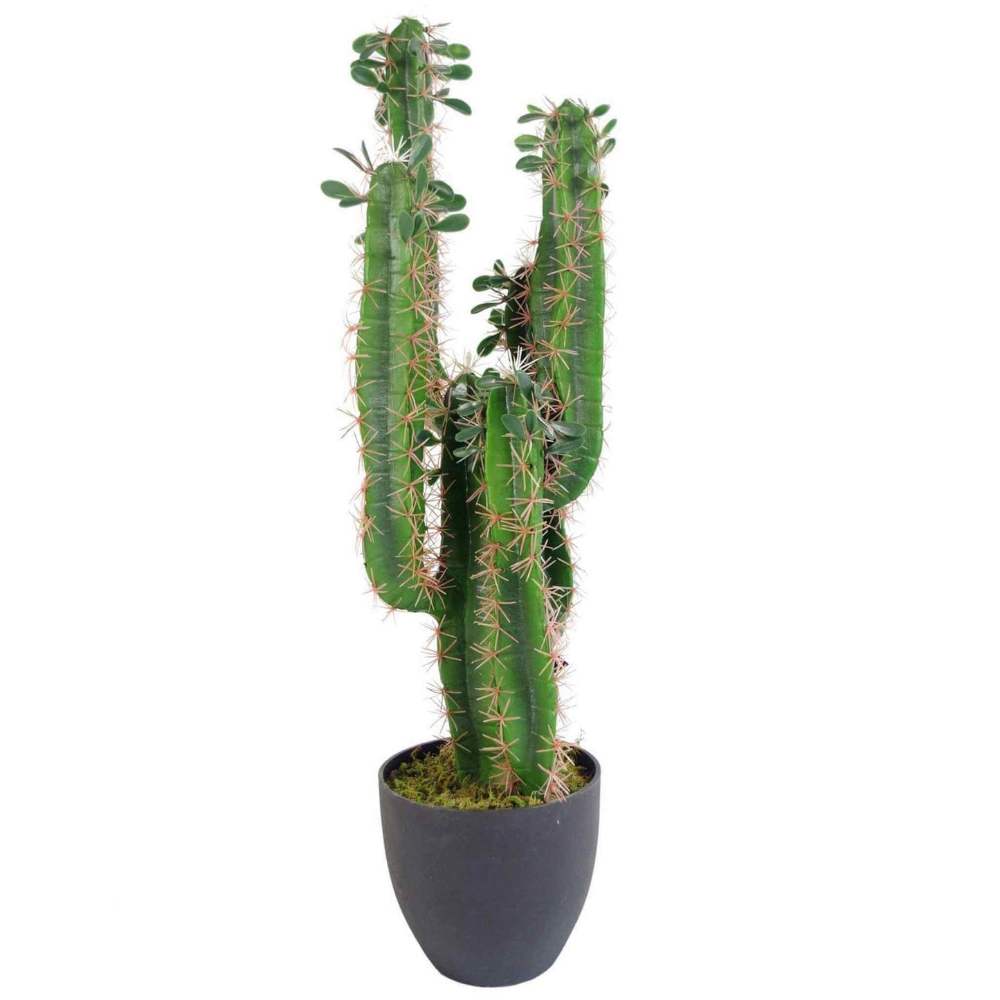 Tall artificial cactus with multiple green stems and beige spines in a matte black pot, isolated on white.