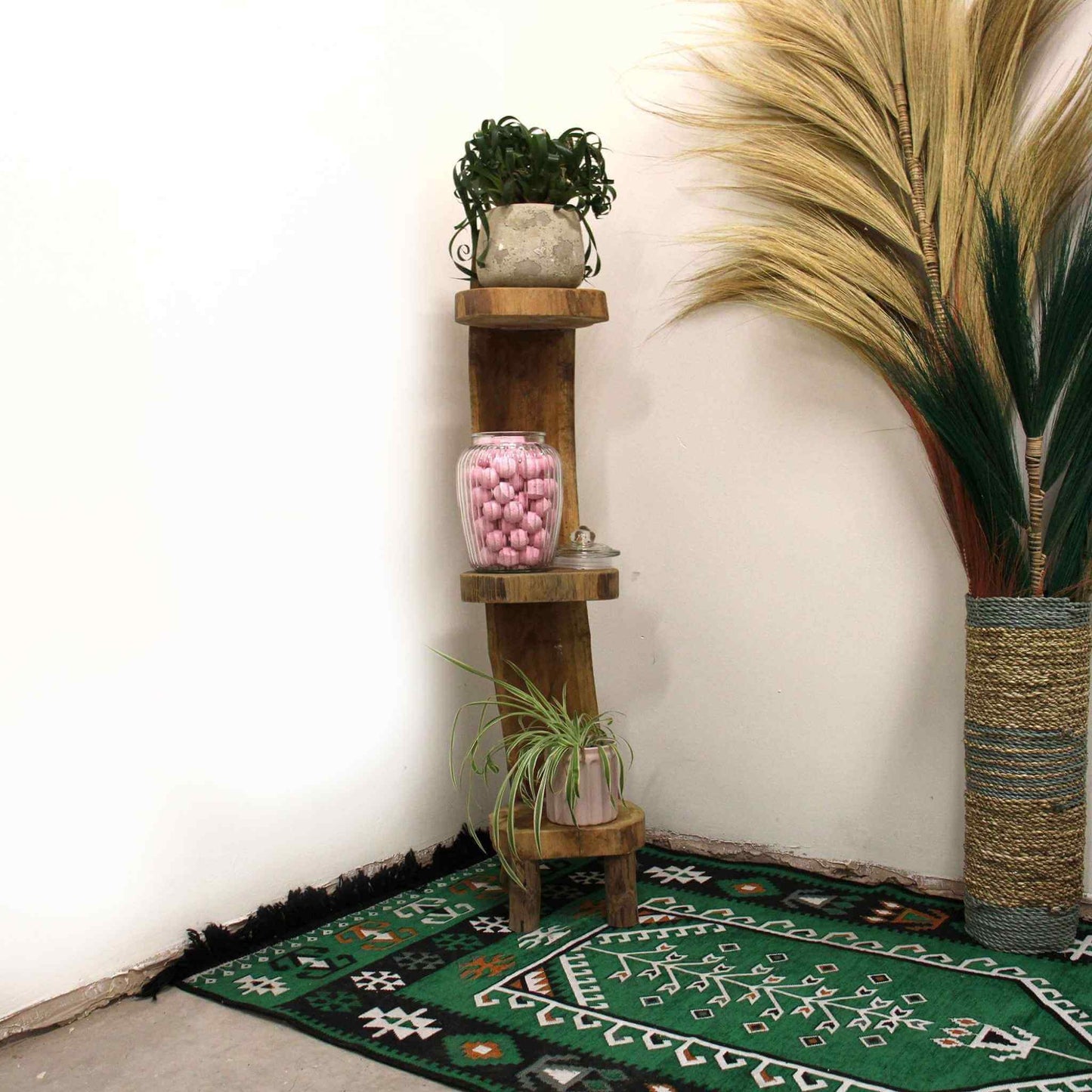 Teak log shelf styled in room corner holding plants and ornaments beside decorative rug and pampas grass.