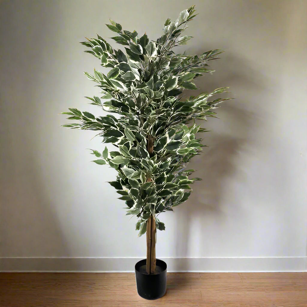 Full view of 130cm artificial variegated ficus tree with white and green foliage, set in a black plastic pot.