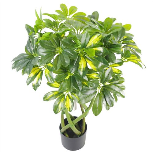 Top-down view of artificial Arboricola showing bushy, vibrant foliage in a black pot.
