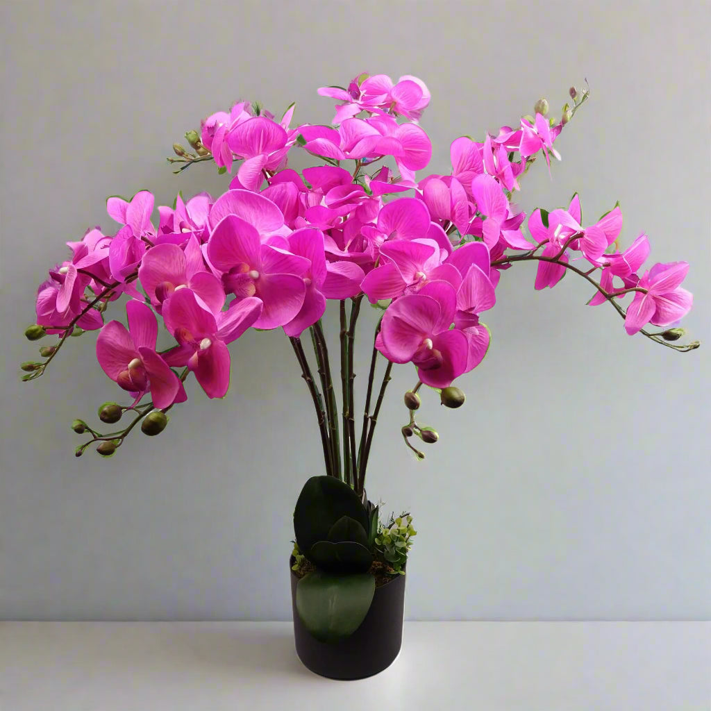 Artificial bush orchid with dark pink flowers in a black pot, full view on a white shelf.