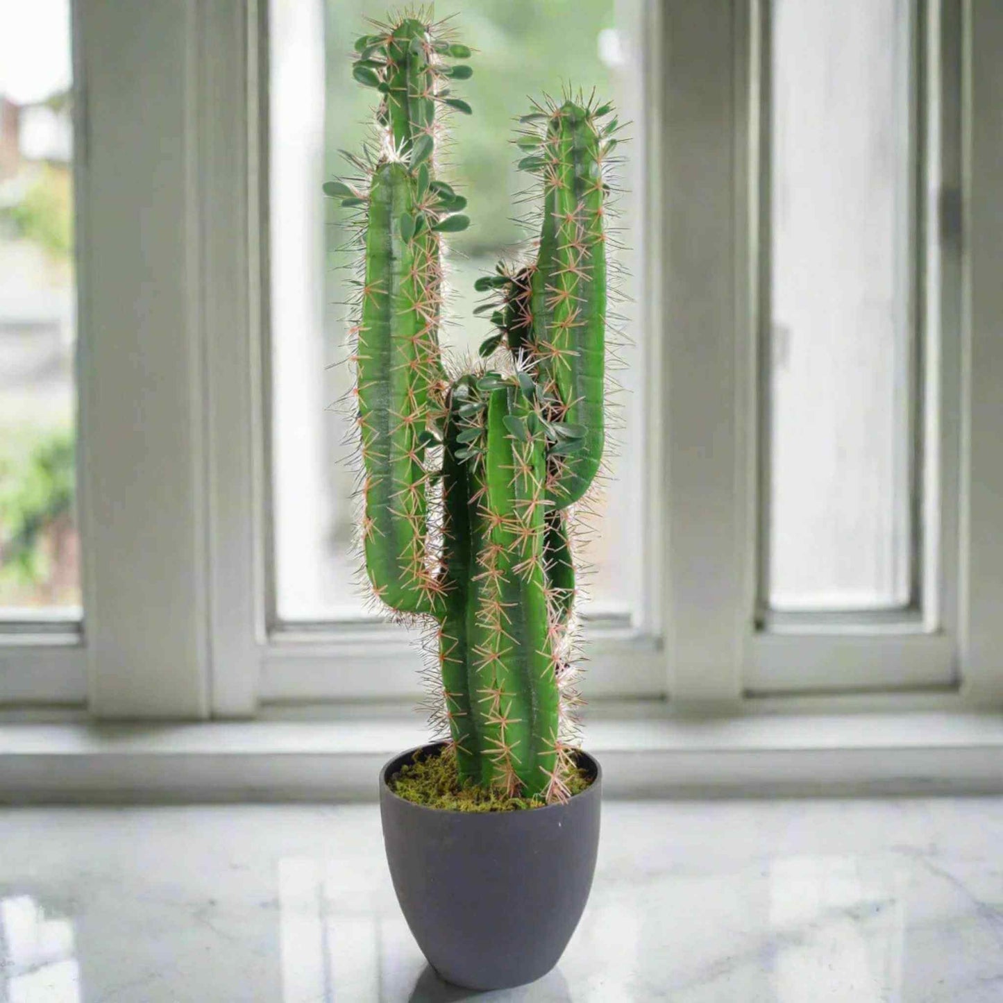 75cm artificial cactus in a black pot displayed on a windowsill, showing realistic green stems with natural spines and soft lighting.