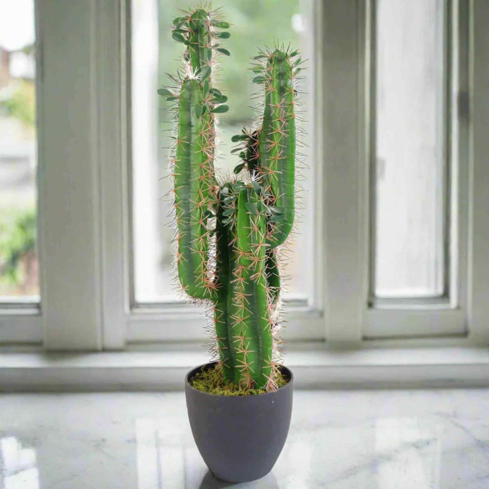 75cm artificial cactus in a black pot displayed on a windowsill, showing realistic green stems with natural spines and soft lighting.