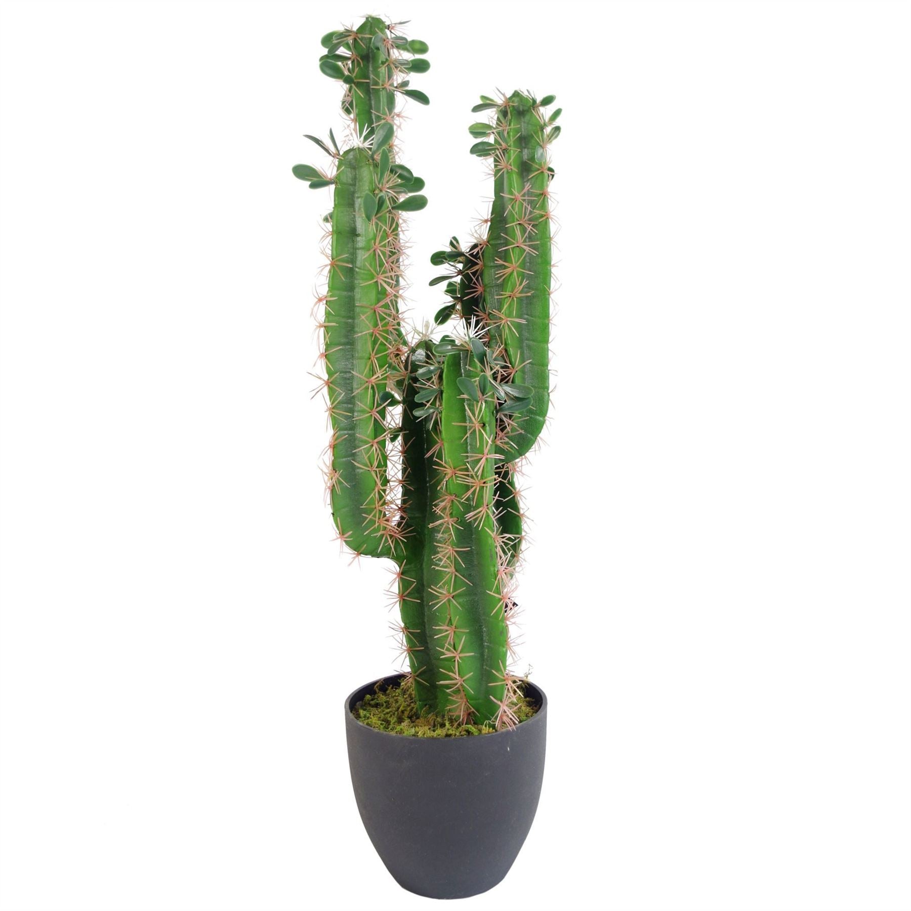 Tall artificial cactus with multiple green stems and blush spines in a black pot, isolated on a white background.