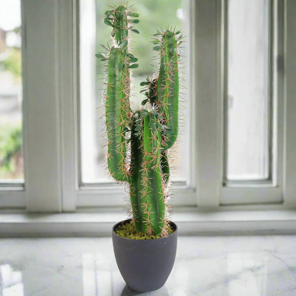 Tall artificial cactus with multiple green stems and blush spines in a black pot, set in front of a window.