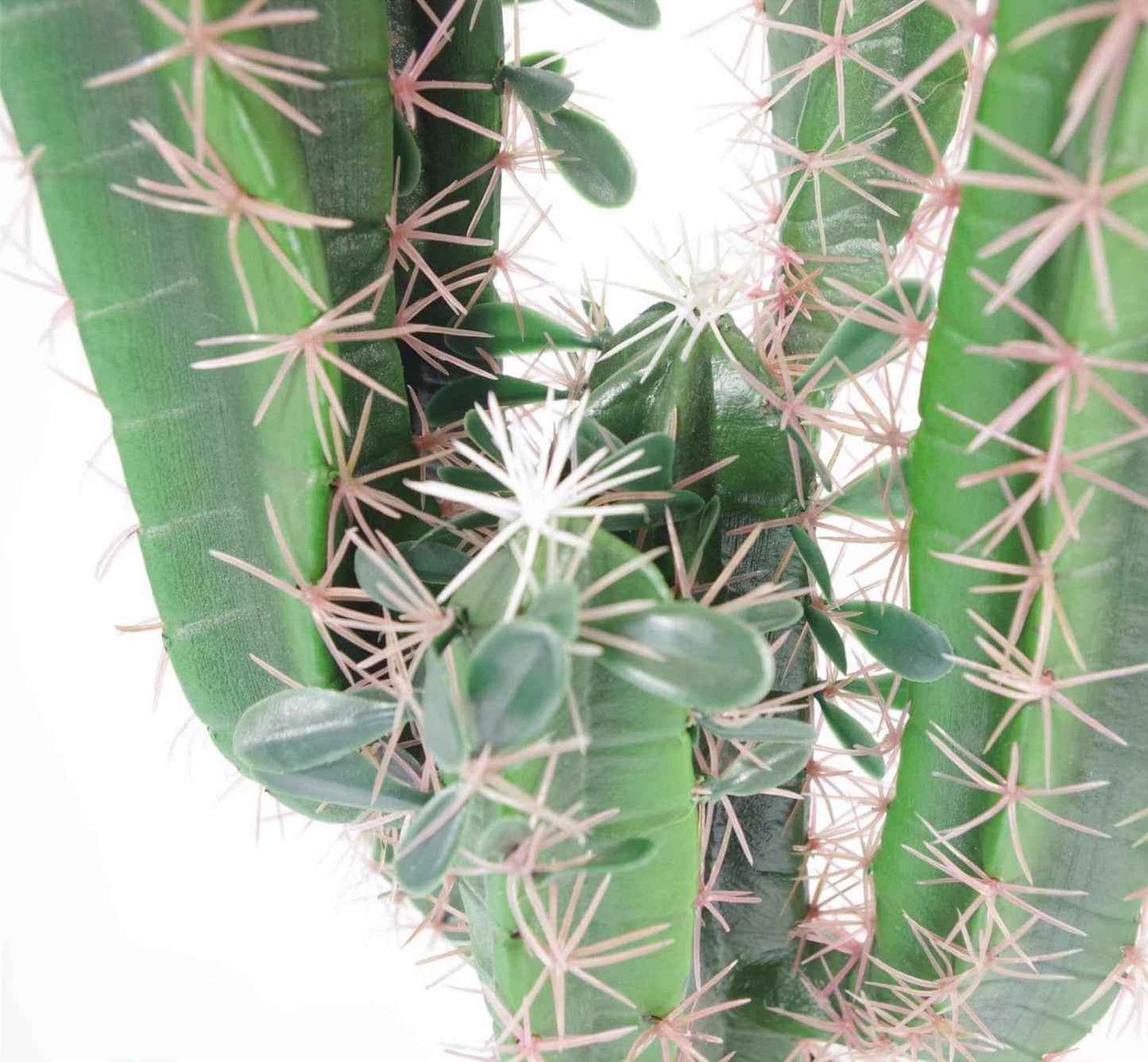 Detailed view of artificial cactus stems with lifelike green texture, tan spines, and small synthetic leaves.