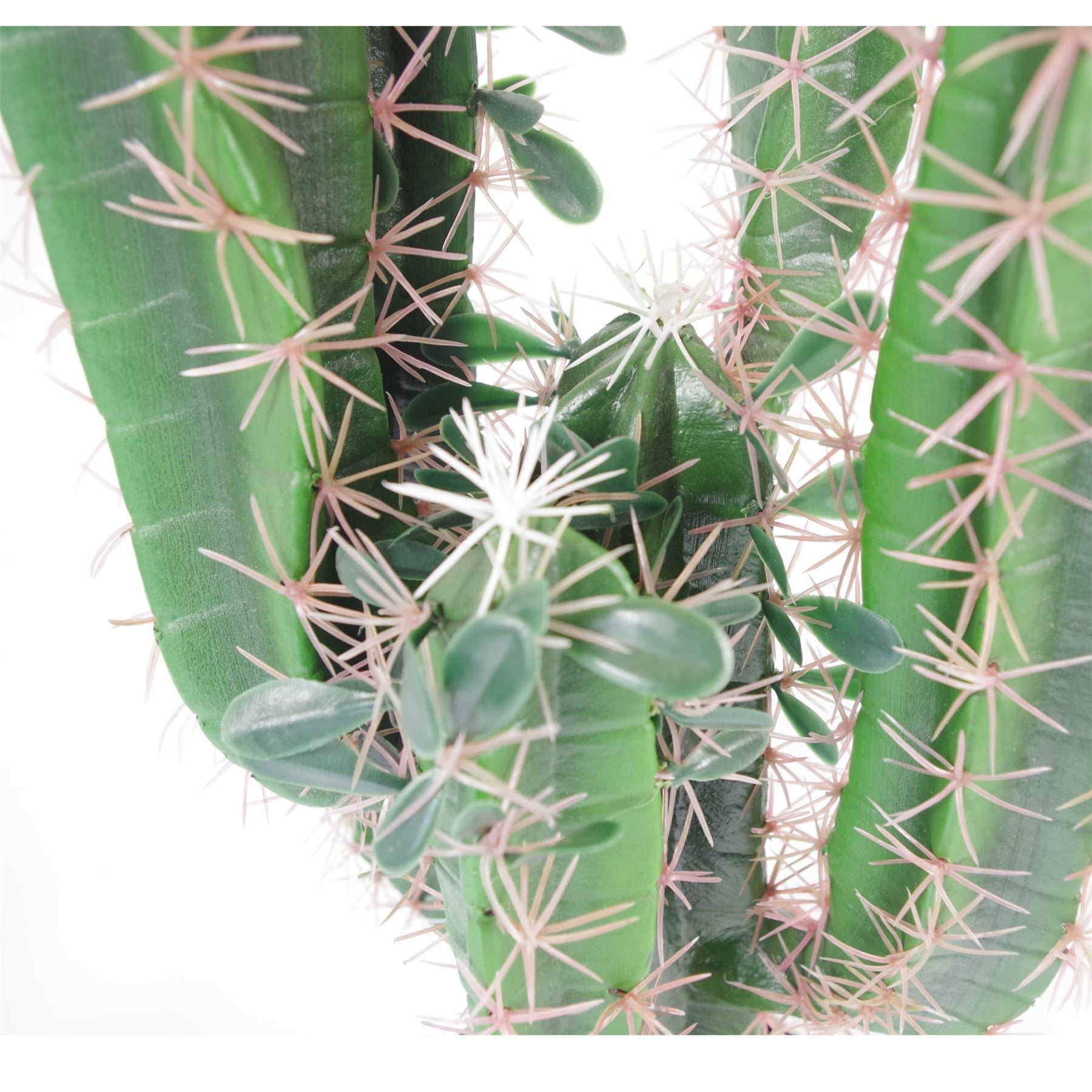Close-up of artificial cactus stems showing lifelike blush spines and soft green leaves.