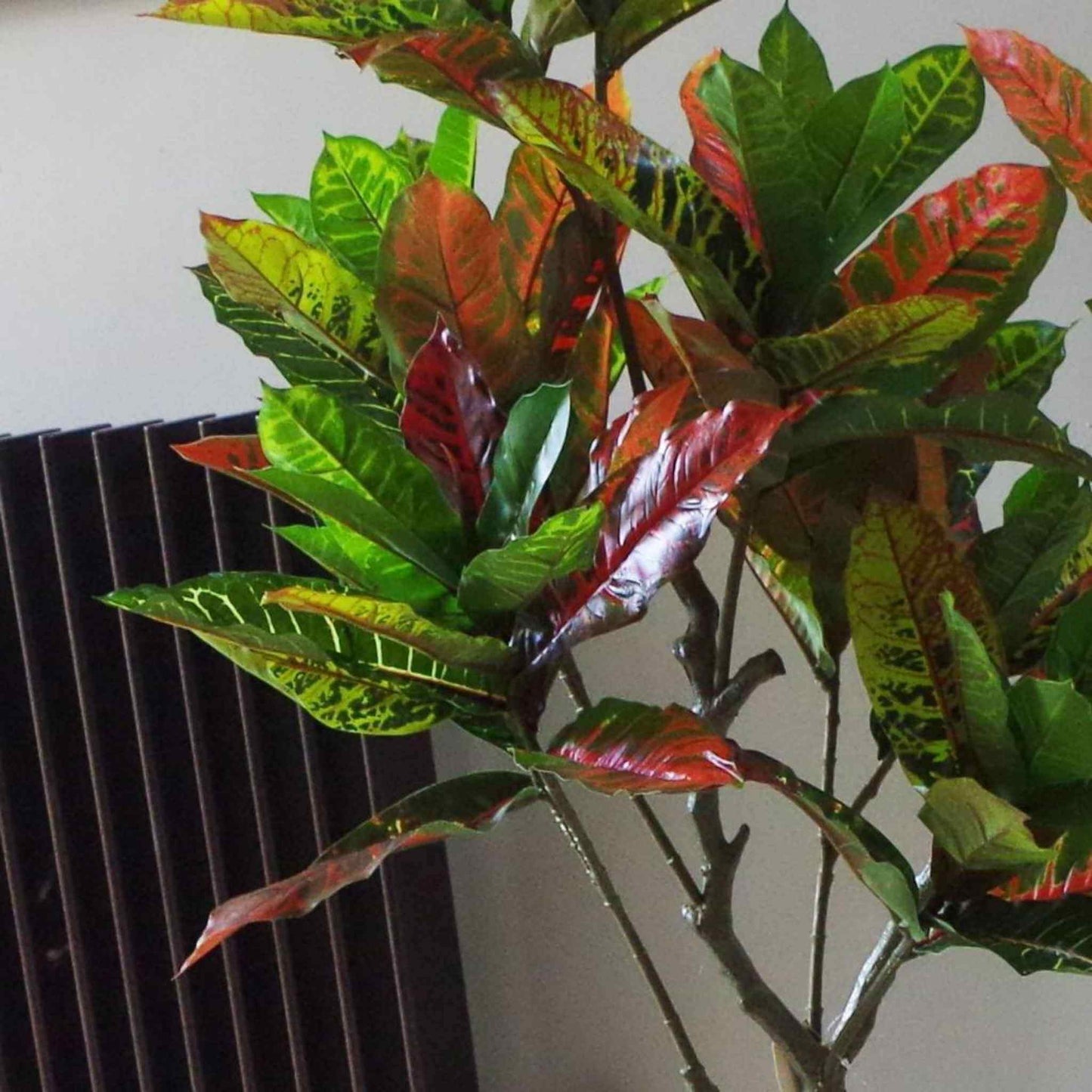 Mid-view of an artificial Codiaeum plant showing branch structure and glossy foliage detail.