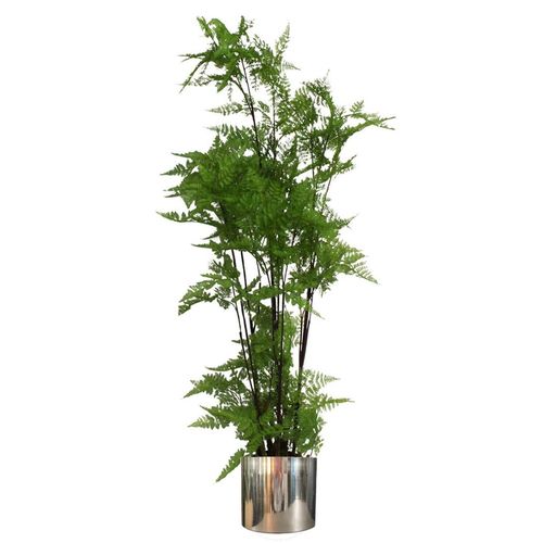 Tall artificial fern with delicate green fronds in a polished silver metal planter, styled on a plain white background.