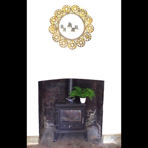 A 30cm artificial fern displayed in a fireplace setting beside a log burner.
