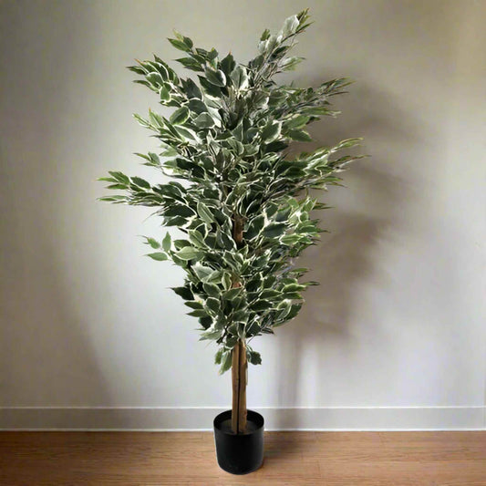 130cm artificial variegated ficus tree in a black pot positioned against a light wall and wood floor.