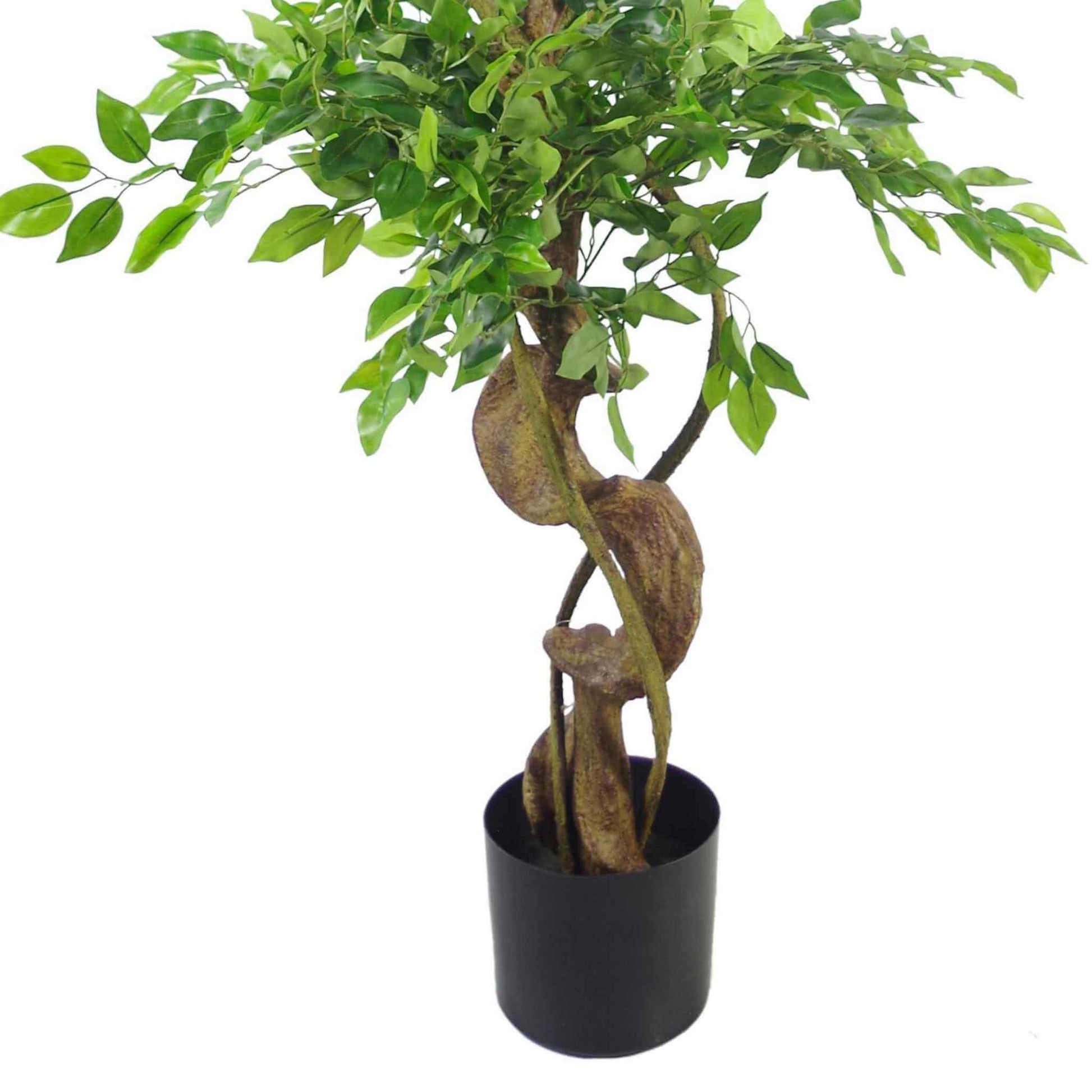Close-up of the realistic twisted brown trunk and rich green leaves of the faux ficus.