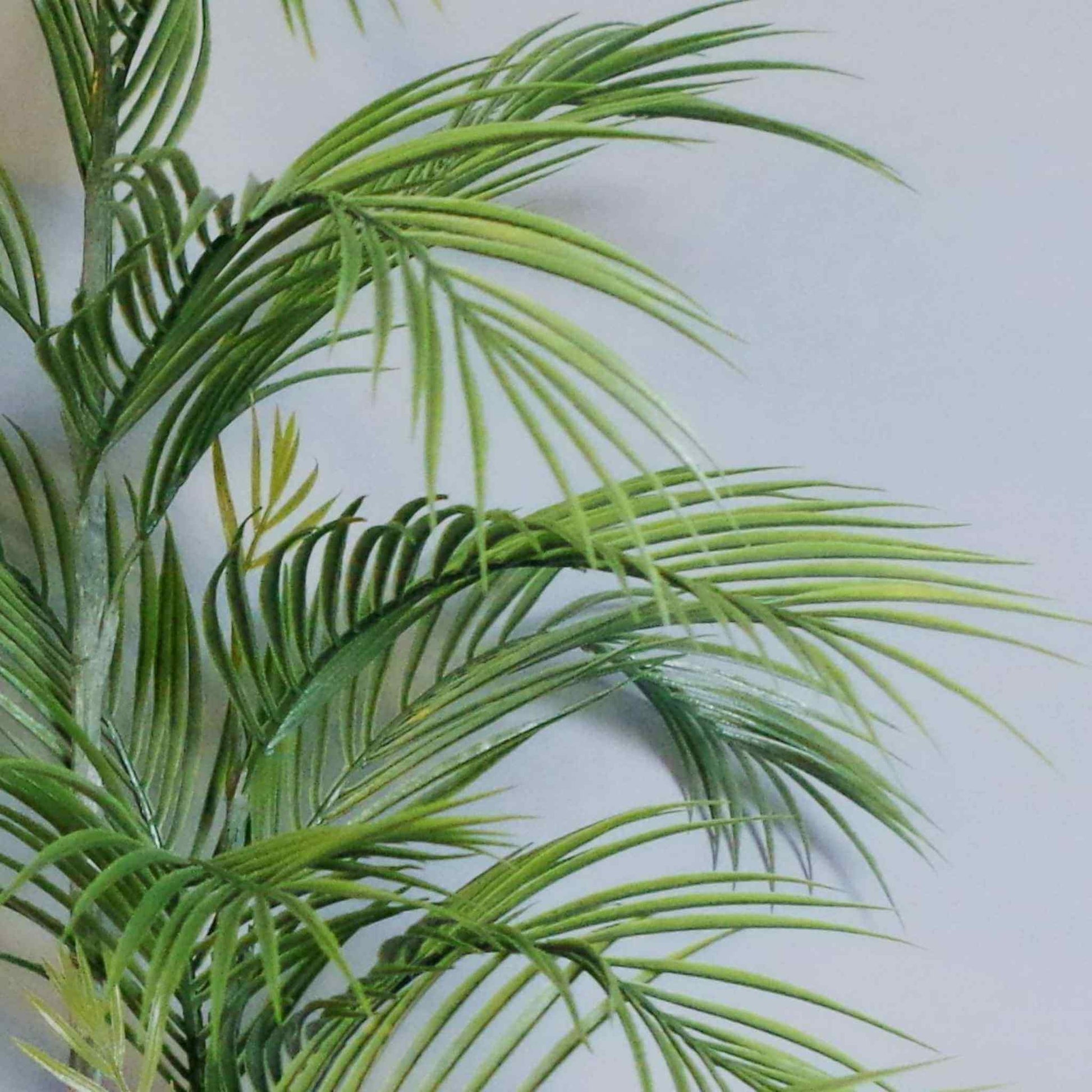 Close‑up of realistic green palm leaves with layered fronds and natural detailing.