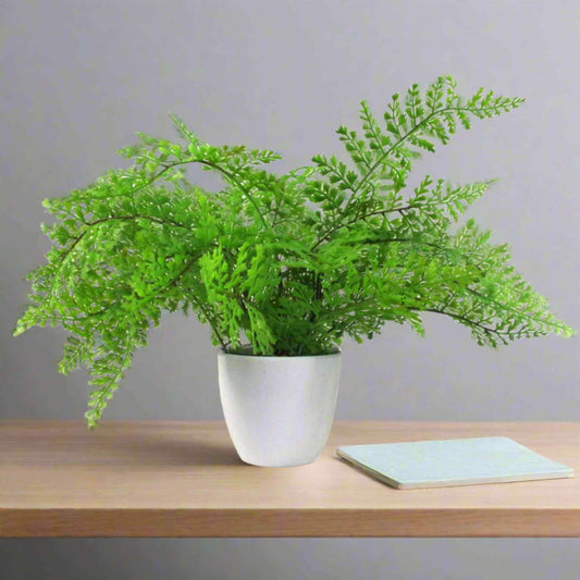 Artificial royal fern in a white pot on a wooden shelf beside a notebook, showing natural leafy detail.