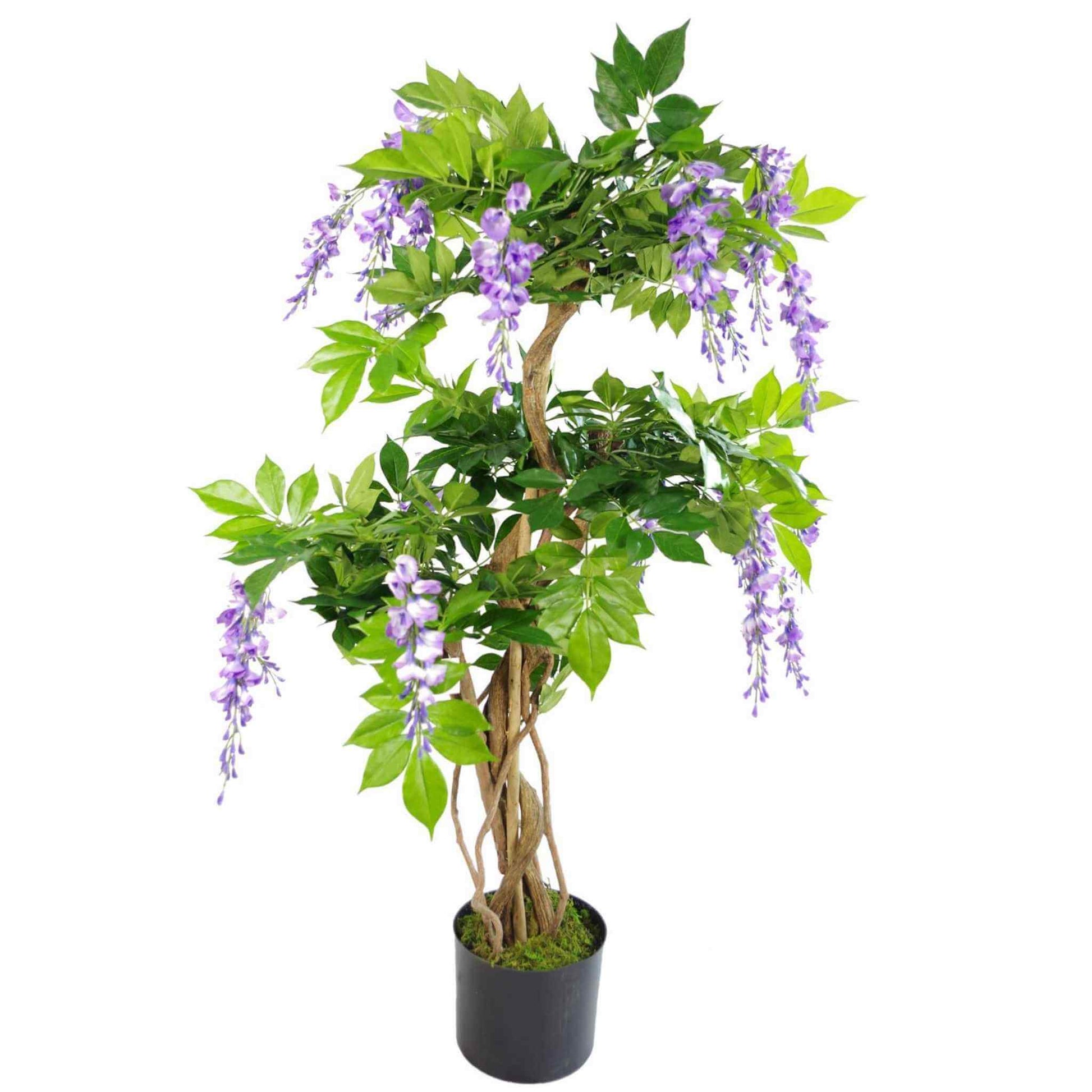 Tall faux purple wisteria tree with a twisted natural wood trunk and lush green leaves in a black pot, shown on a white background.
