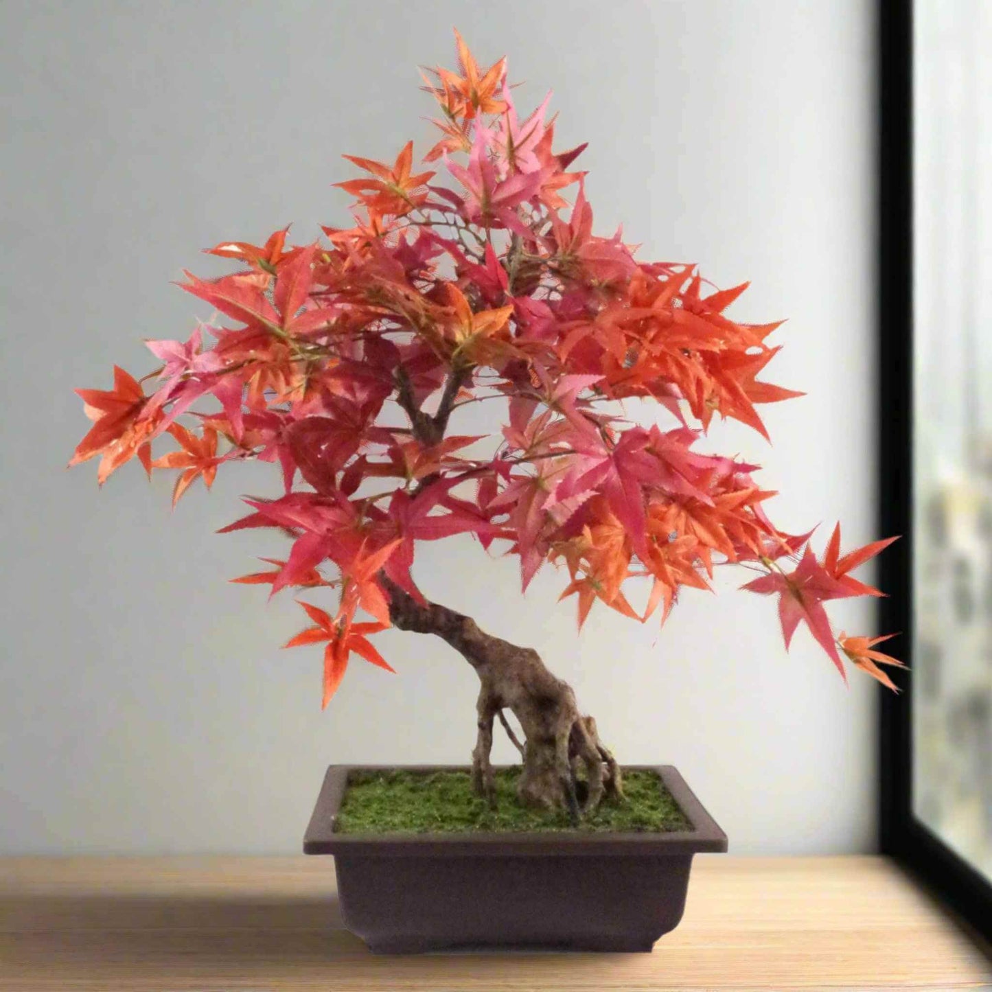 50cm artificial red maple bonsai tree in a rectangular brown planter on a wooden surface by a window, bright autumn leaves and moss-effect base.