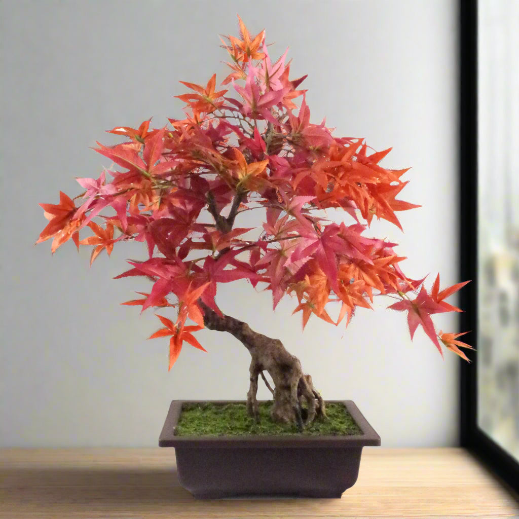 Artificial red maple bonsai tree with a twisted trunk in a black pot on a living room shelf.