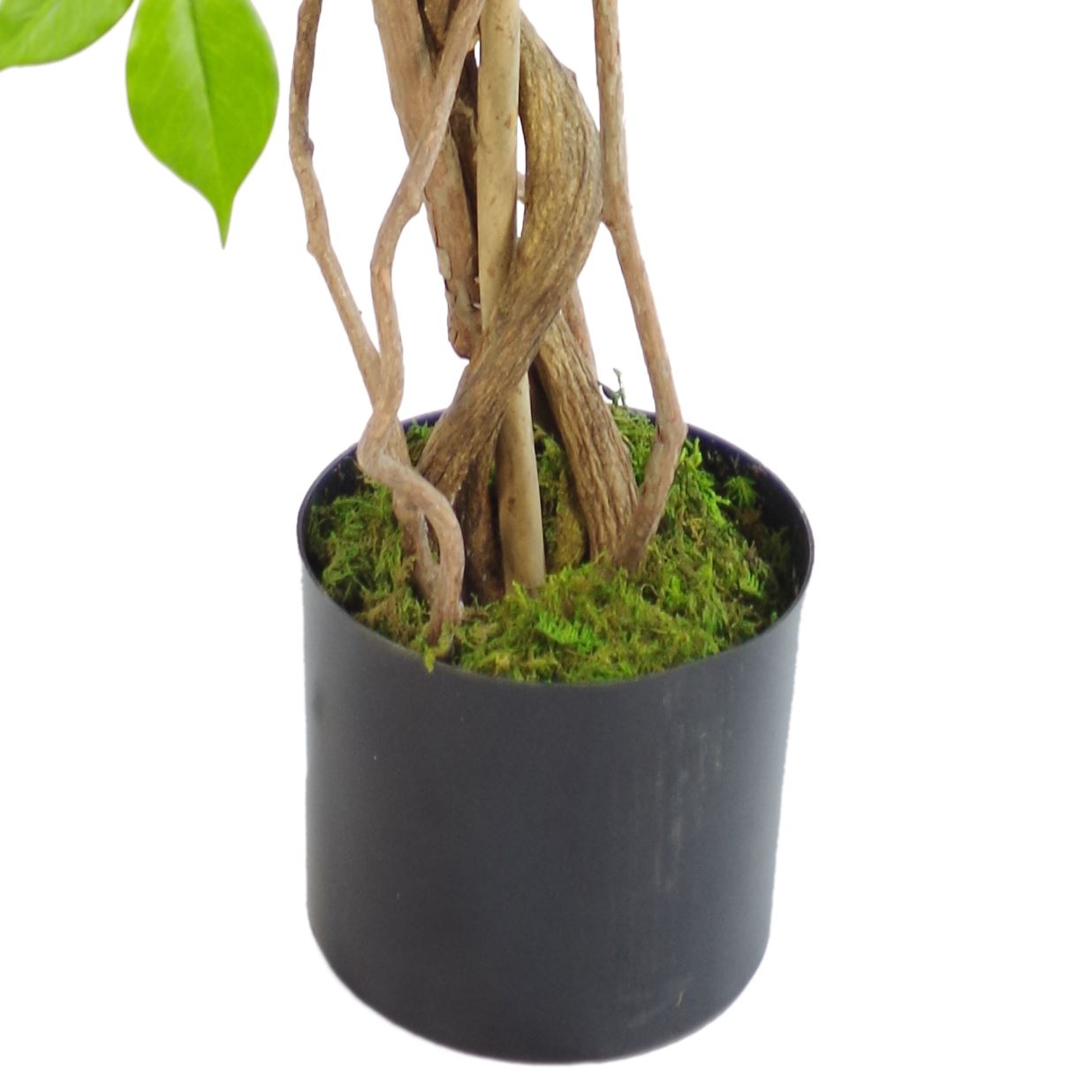 Detail of a twisted natural wood trunk set in moss-covered soil within a black pot.