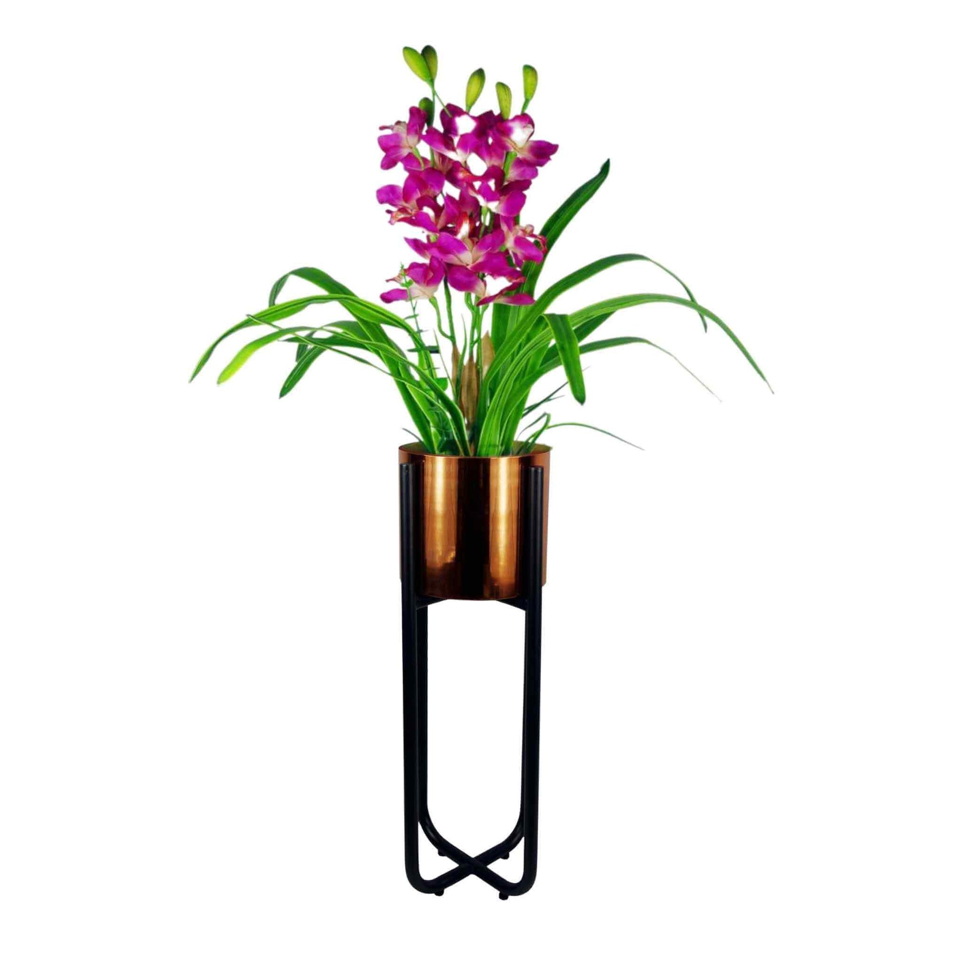 Copper metal planter on a tall black stand with vibrant purple flowers and green leaves, displayed on a white background – elegant indoor planter idea.