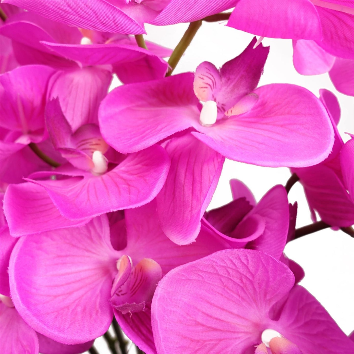 Detailed view of artificial dark pink orchid blossoms, clustered in bloom.