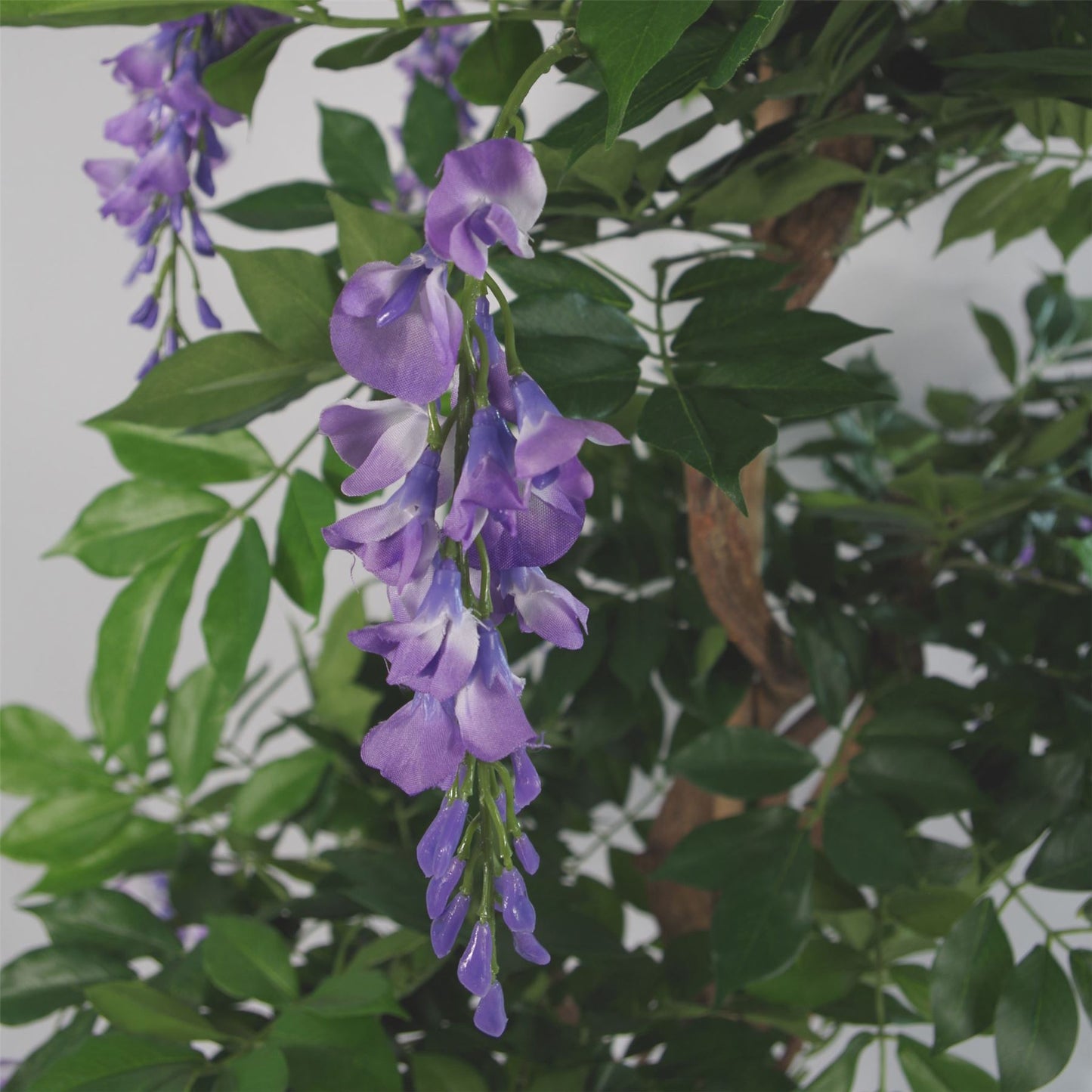 Close-up of lifelike purple wisteria blossoms surrounded by lush green leaves