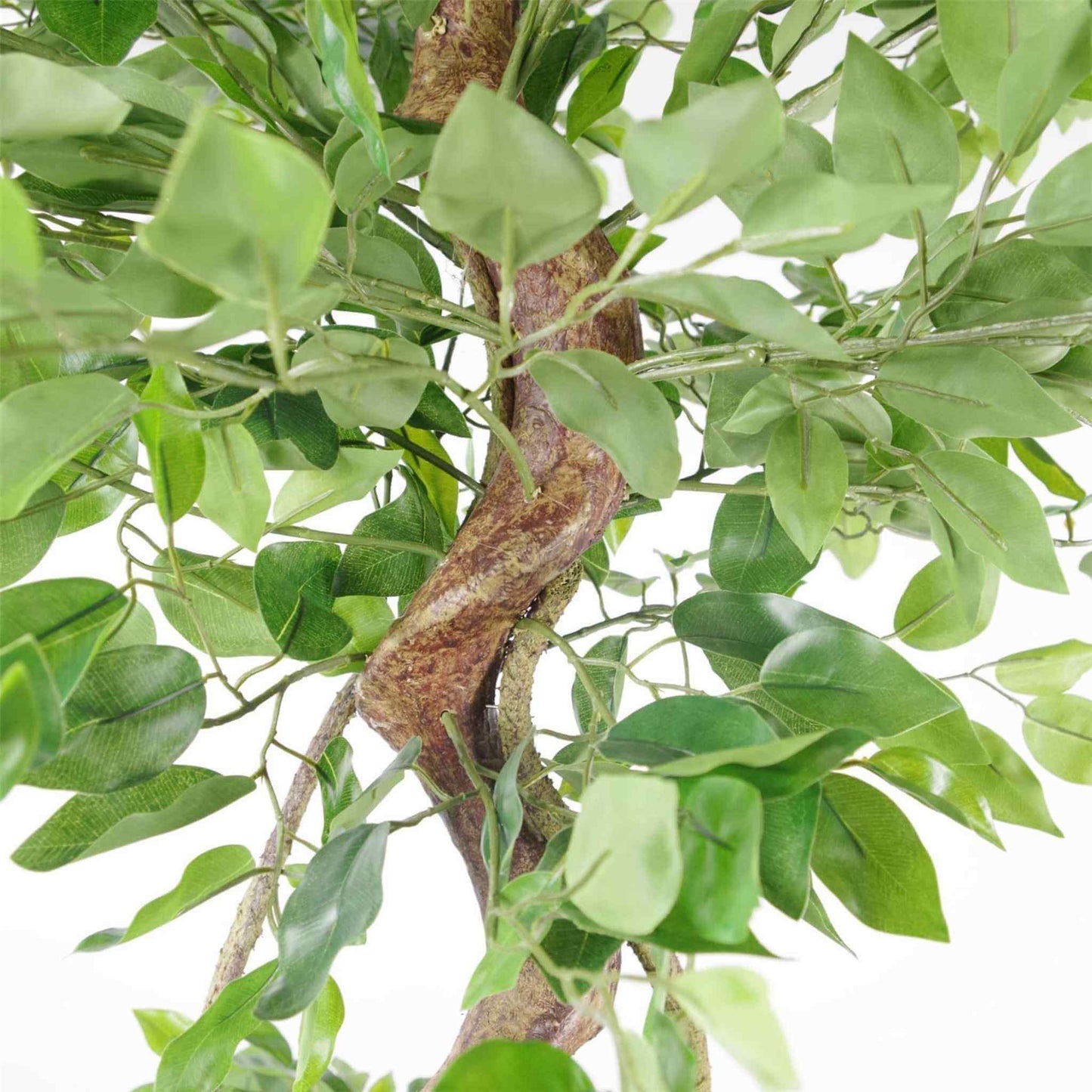 Detailed view of textured artificial ficus leaves and natural vein patterning.