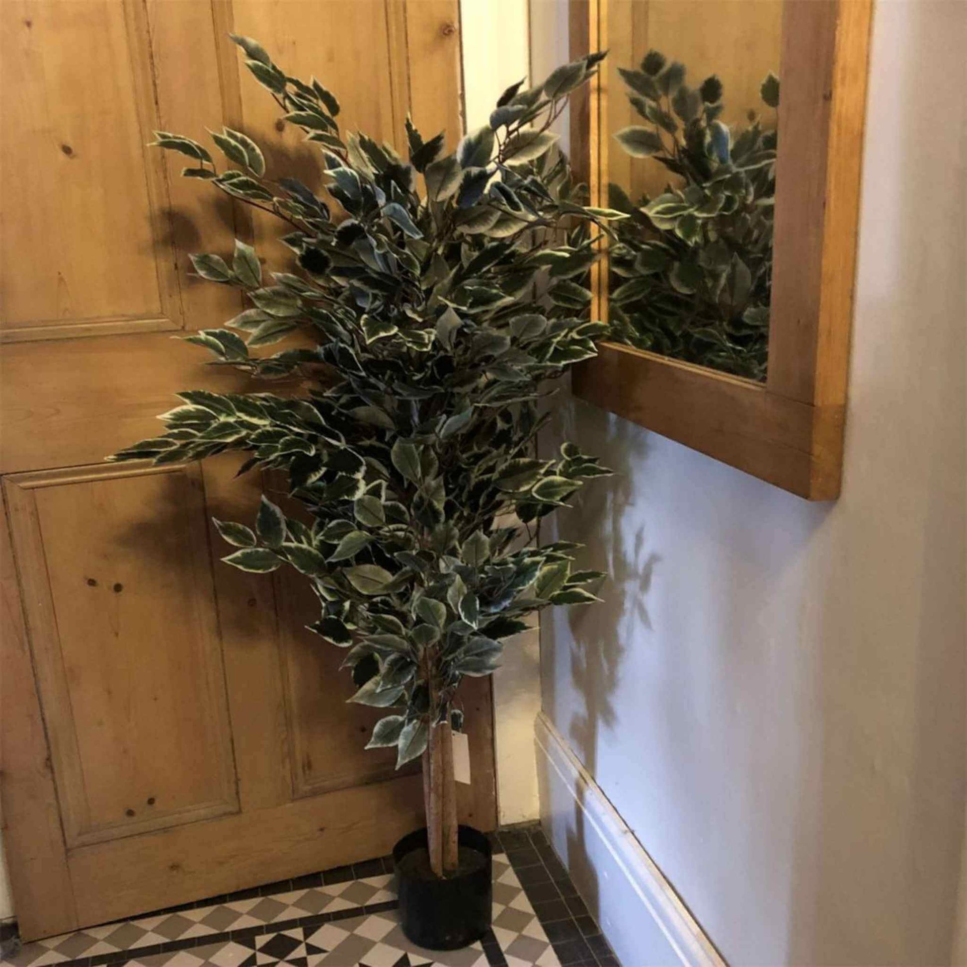 Artificial ficus tree in a corner hallway beside a wooden door and mirror.