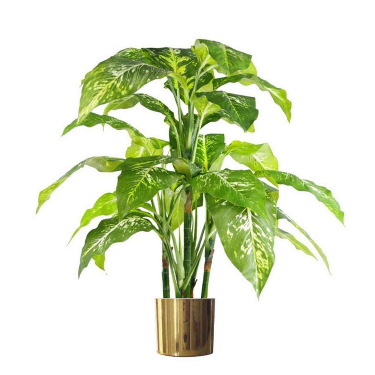 Reflective gold planter showcasing a variegated plant with patterned green and cream foliage.