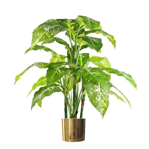 Polished gold pot holding a leafy variegated plant with vivid green and yellow tones.