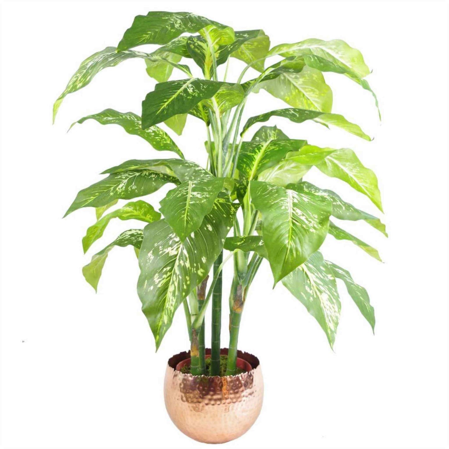 Hammered copper metal planter styled with a large leafy green plant, demonstrating design versatility.