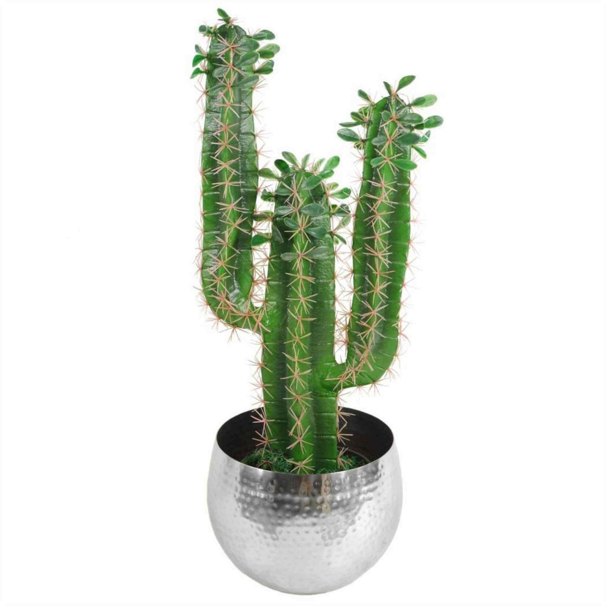 A large hammered silver metal planter holding a tall green cactus, displayed on a white backdrop to show scale and contrast.