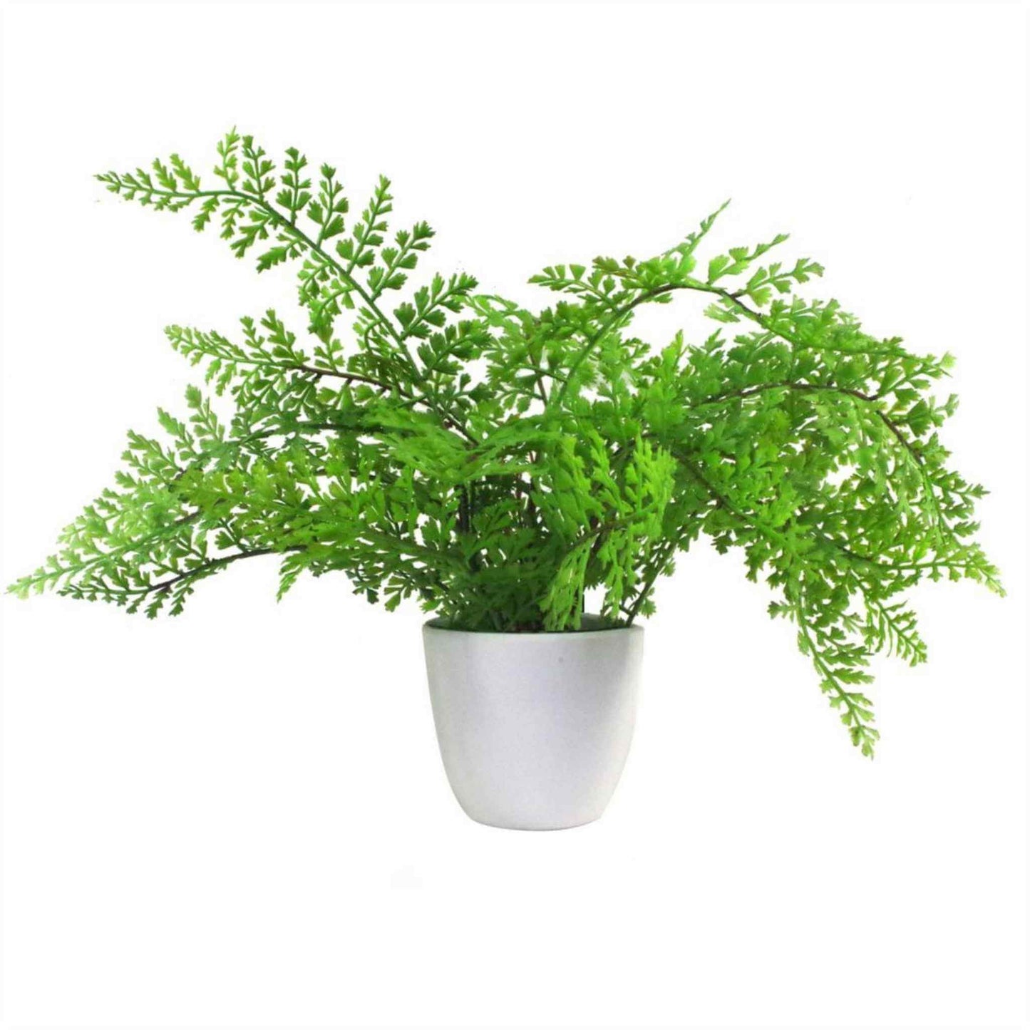 Full view of a 30cm artificial royal fern in a white pot with bright green leaves, on a white background.