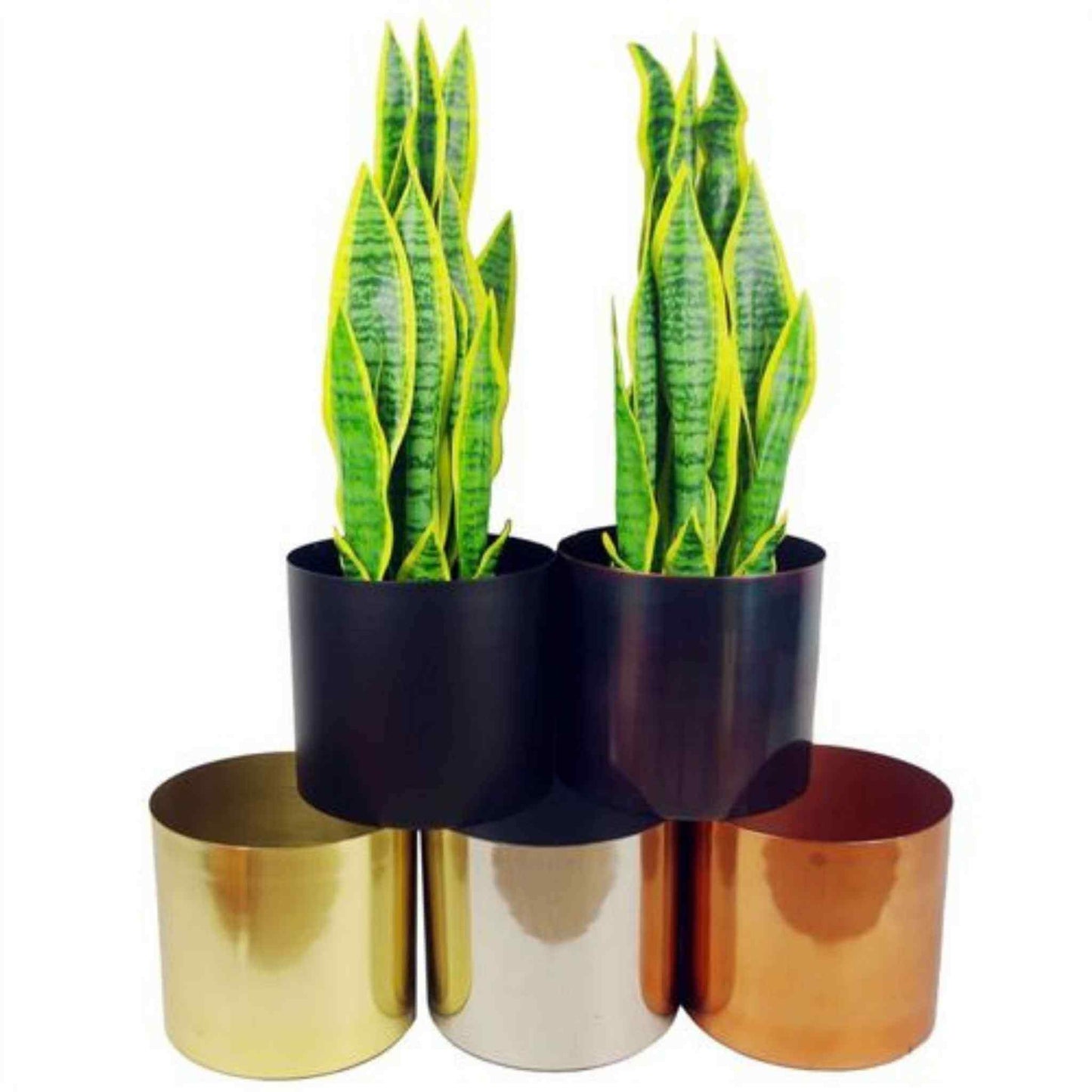 Assorted metal planters in gold, silver, copper, and black finishes displayed with green snake plants.