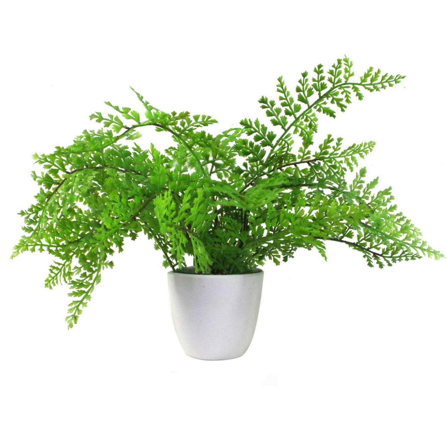 30cm artificial royal fern plant in a plain white pot, isolated on a white background.