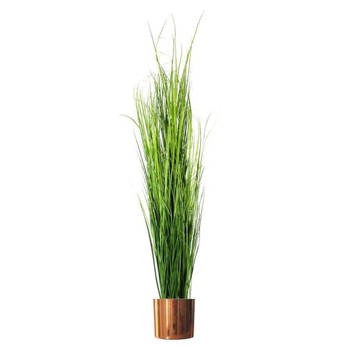 A tall grass-like plant displayed in the copper planter, highlighting height contrast.