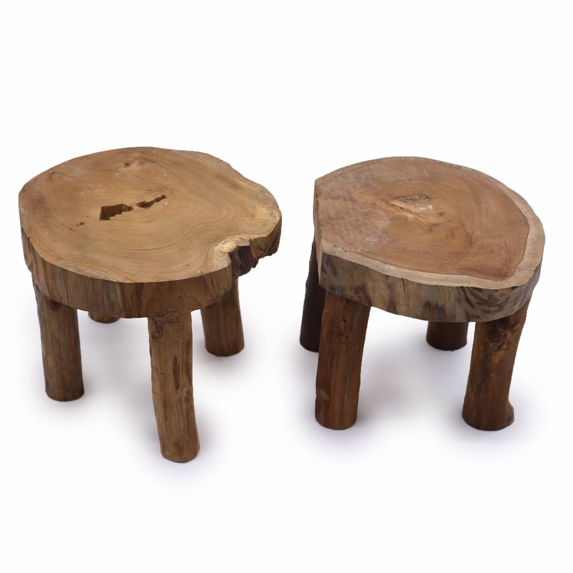 Pair of teak display stools angled on a white background, showing organic slab tops and visible grain rings.