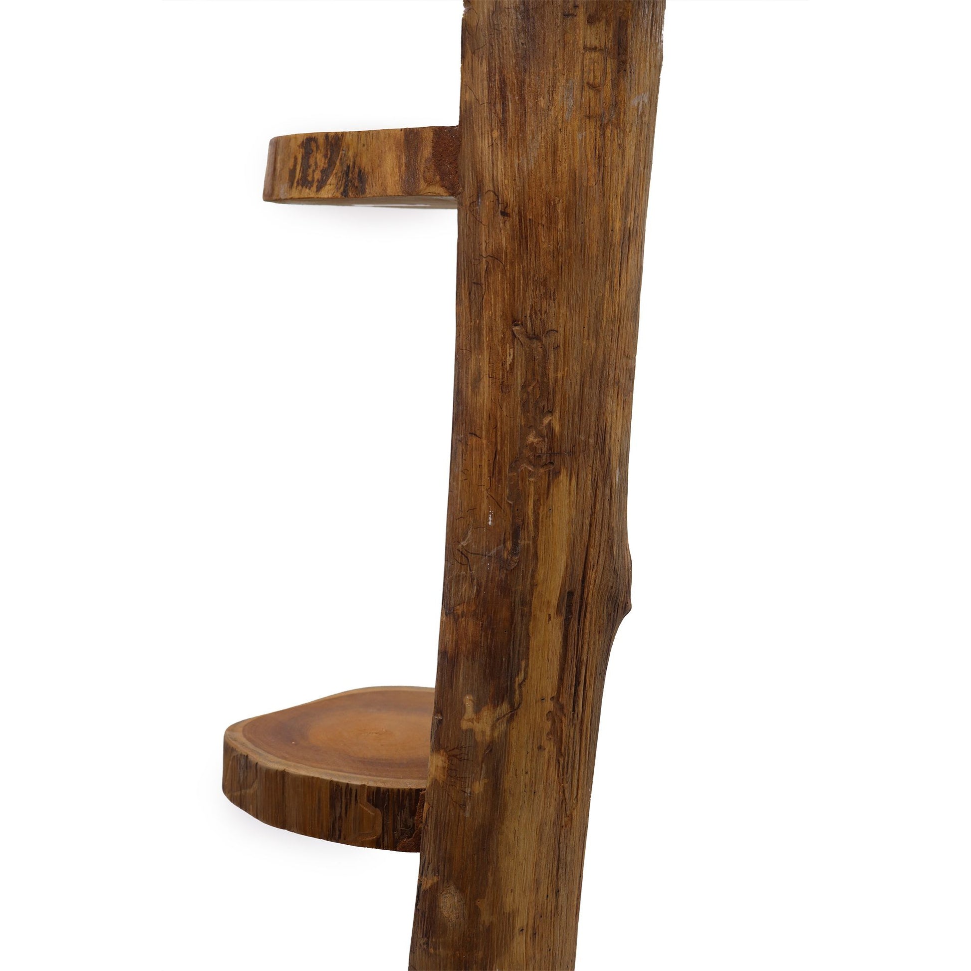 Midsection of teak log shelf showing natural grain and two display tiers.