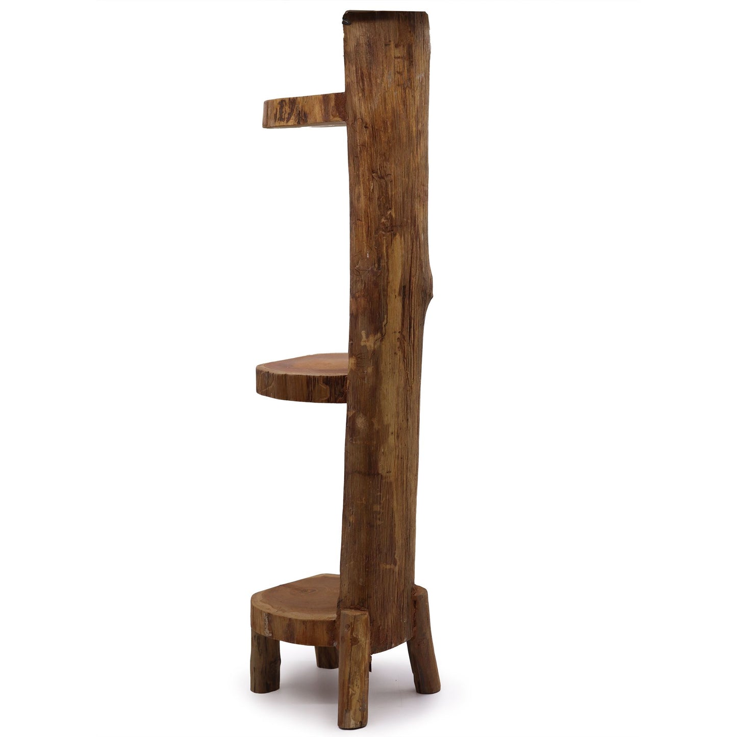 Side view of a three-tier teak log display shelf highlighting organic curves.