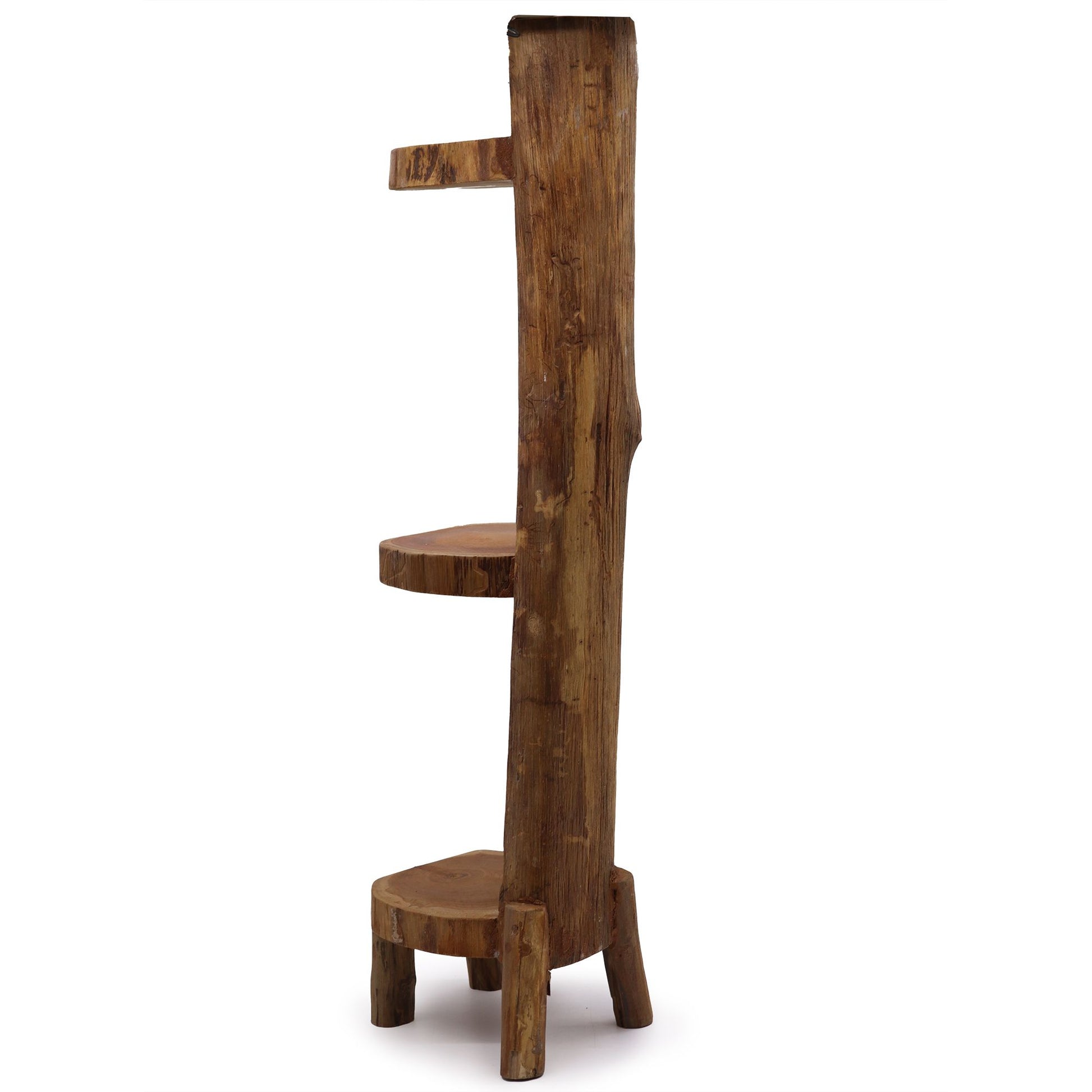 Side view of a three-tier teak log display shelf highlighting organic curves.