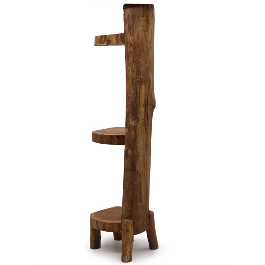 Side view of a three-tier teak log display shelf highlighting organic curves.