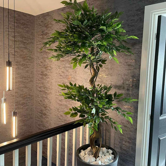 150cm artificial ficus tree with a twisted trunk and green foliage displayed on a modern landing beside pendant lights.