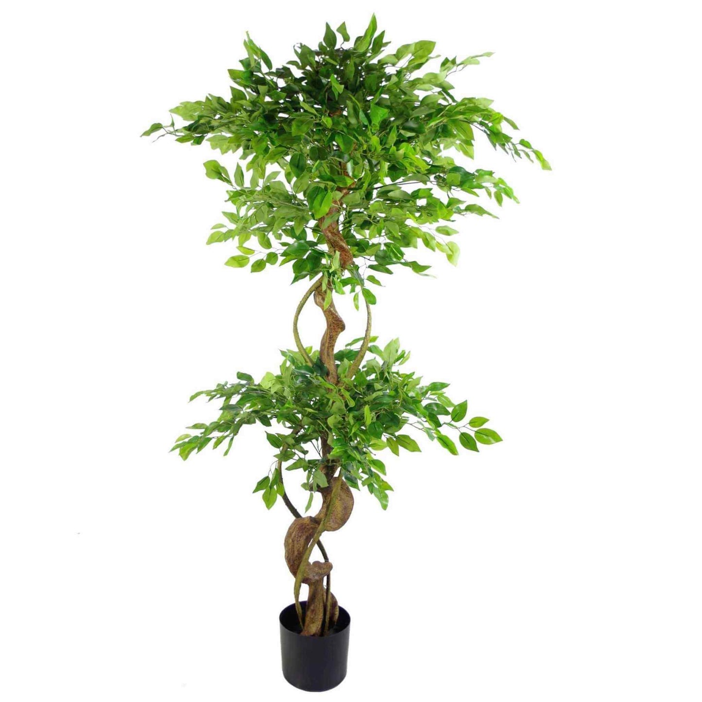 Full view of the 150cm artificial ficus tree with spiral trunk and vibrant foliage against a white background.