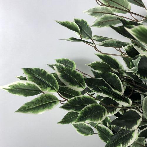 Detailed close-up of the white and green variegated foliage on the artificial ficus tree.