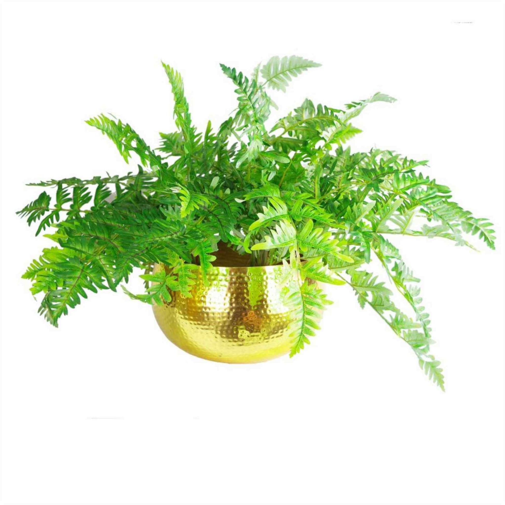 Extra-large hammered gold metal planter with lush green ferns, indoor styling example.